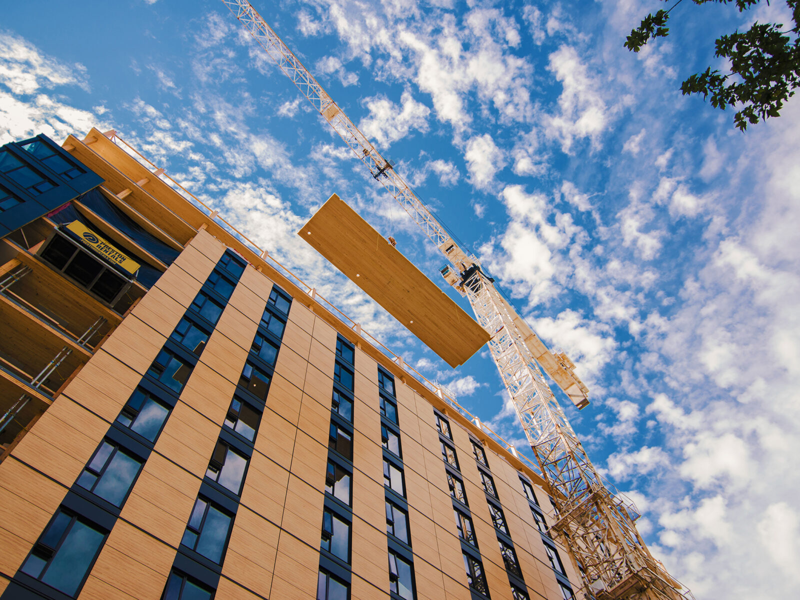 Timber Tech Takes Wood Buildings to New Heights