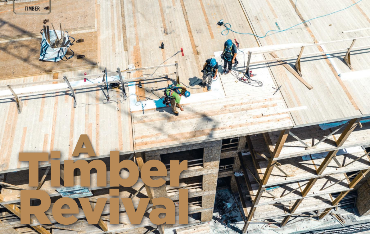A Timber Revival