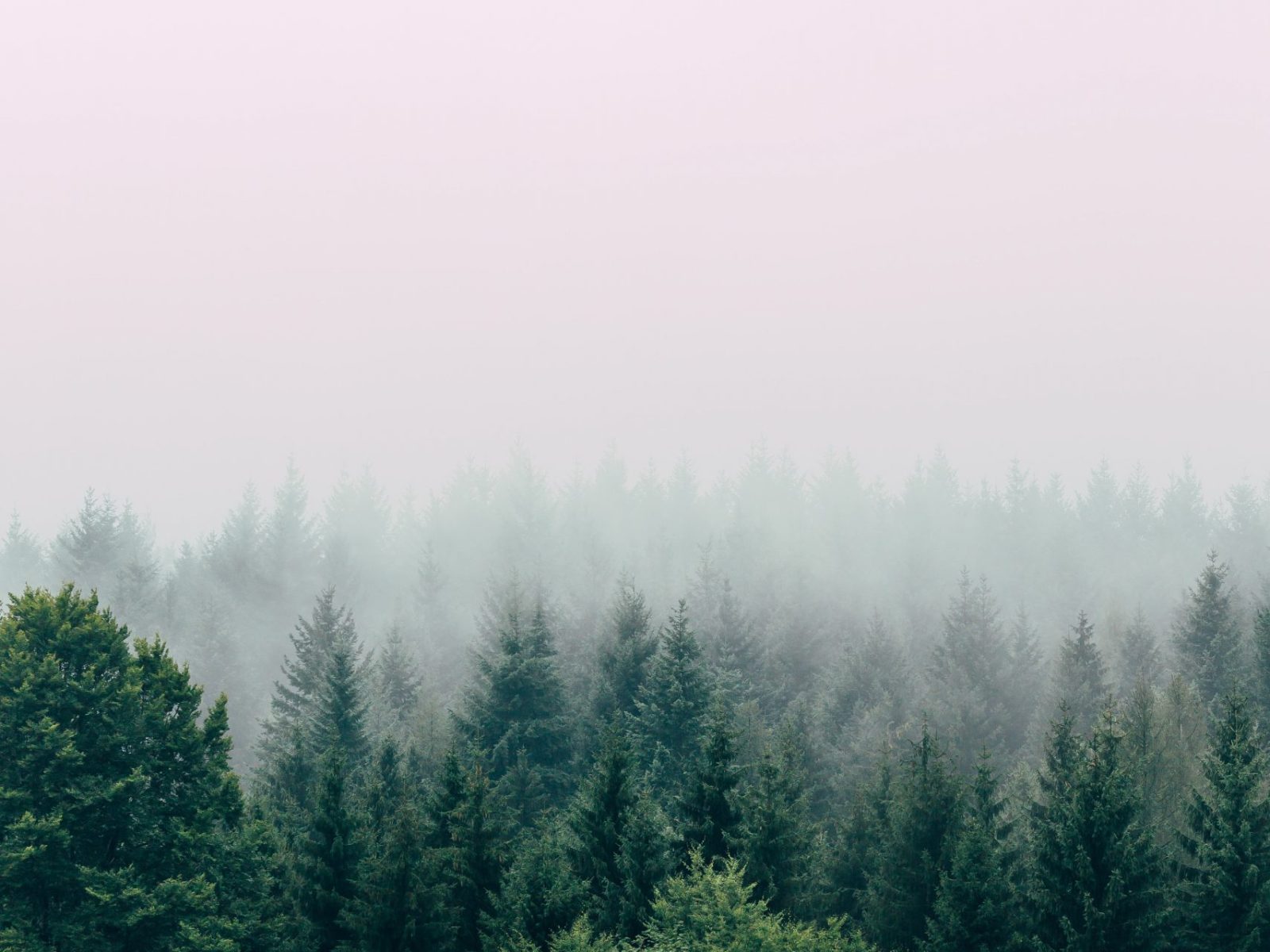 A realistic path to sustainability for Canada’s construction industry